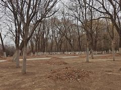 -长白岛森林公园
