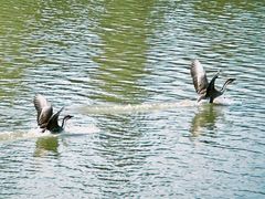 -艾溪湖湿地公园