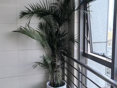 -北京电力医院