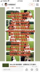 点击看大图 -Rena nail 美甲美睫私人定制