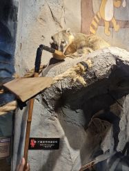 -Zoolung Zoolung动物主题公园(海信广场店)