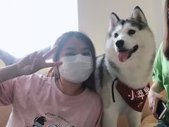 -Husky Go! 哈士奇体验馆·宠物咖啡厅狗咖