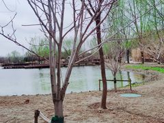 -东郊湿地公园