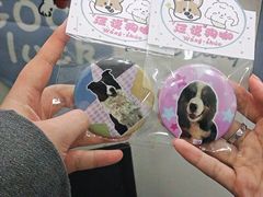 -汪说·狗咖·拼豆·宠物周边DIY(旺城大厦店)