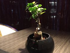 -滩万日本料理Nadaman(国贸大酒店)