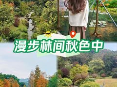 -云溪植物园