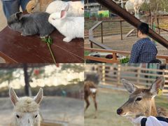 -盈香心动乐园