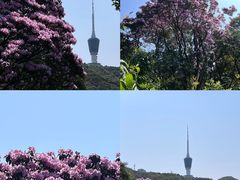 -梧桐山风景名胜区