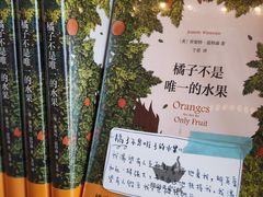 -猫的天空之城概念书店(北戴河蔚蓝海岸店)