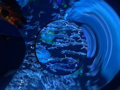 -香港海洋公园