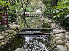 -成都市活水公园