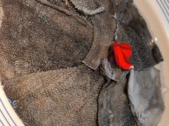 -赵美丽·重庆社区火锅·直营店(火车东站·中豪国际店)