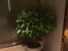 -香山湖渔家大院