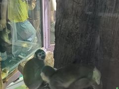 -哈尔滨极地公园