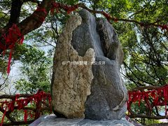 -广州市帽峰山景区