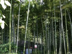 -山沟沟景区