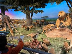 -国家自然博物馆