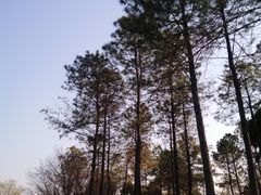 -美兰湖景区