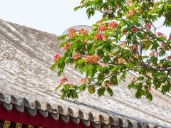 -北京颐和宾馆
