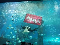 -哈尔滨波塞冬海底世界