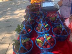 -宝岩生态观光园