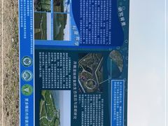-鹦鹉洲湿地公园