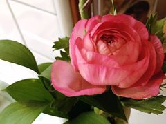 -美丽心情蛋糕(江苏路店)