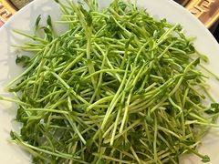 -友乐居羊蝎子(西直门店)