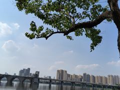 -武汉动物园