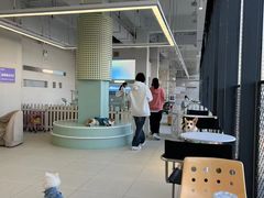 -怪兽屋·羊驼·猫咖·狗咖(俊华广场店)