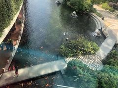 -春满园·早茶·粤菜·宴会(前海店)