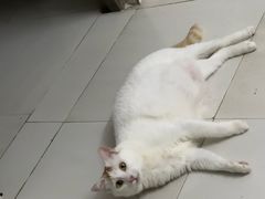 -强手盲人推拿·颈肩腰背调理(南新路店)