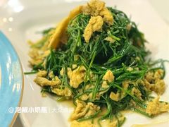 沙葱炒蛋-乡村馕坑肉·烧烤·新疆菜·本地人更爱吃(阿勒泰首店)