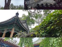 -恭王府博物馆