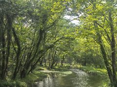 -西溪南古村落