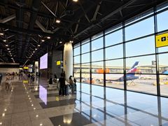 -谢列梅捷沃国际机场