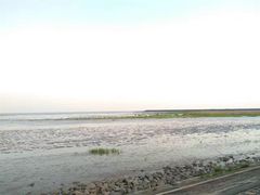 -碧海金沙