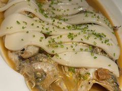 -桂满陇·海市蜃楼·黑金(国金店)