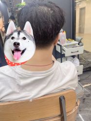 -藤野造型