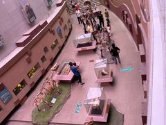 -陕西自然博物馆