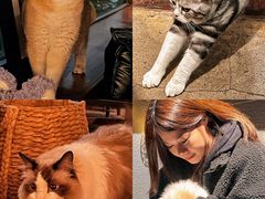 -咖法森林·咖啡  酒吧(天河店)