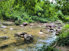 -广州白江湖森林公园