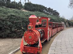 -北京世界公园