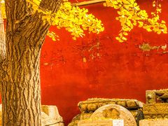 -北京石刻艺术博物馆(五塔寺)