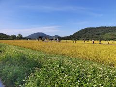 -风云岭森林公园