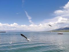 -青海湖二郎剑景区