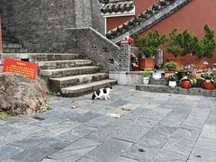 -长春观