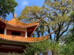 -深圳仙湖植物园