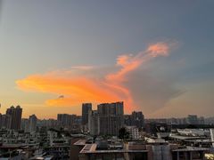 -海底捞火锅(奥体南路店)
