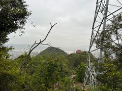 -青芝山风景名胜区